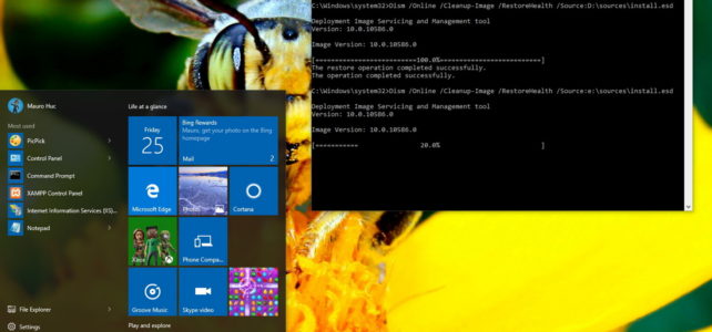 Methoden, um DISM-Befehl zu verwenden, um Windows 10 Image zu beheben
